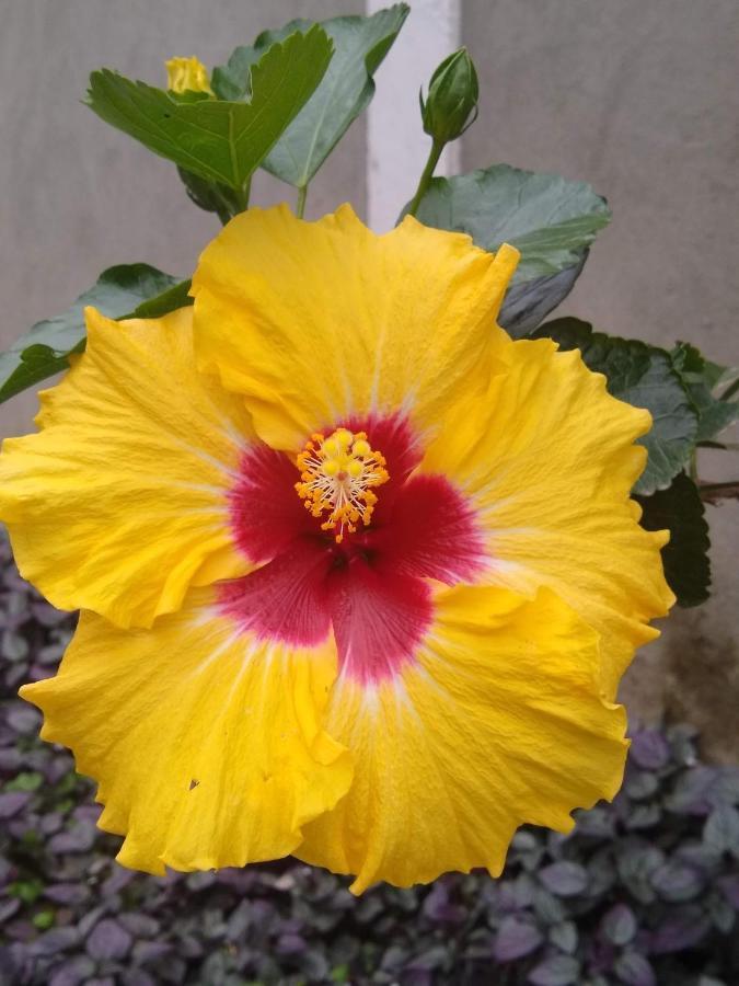 Recanto Dos Passaros - Guaratiba ริโอเดจาเนโร ภายนอก รูปภาพ